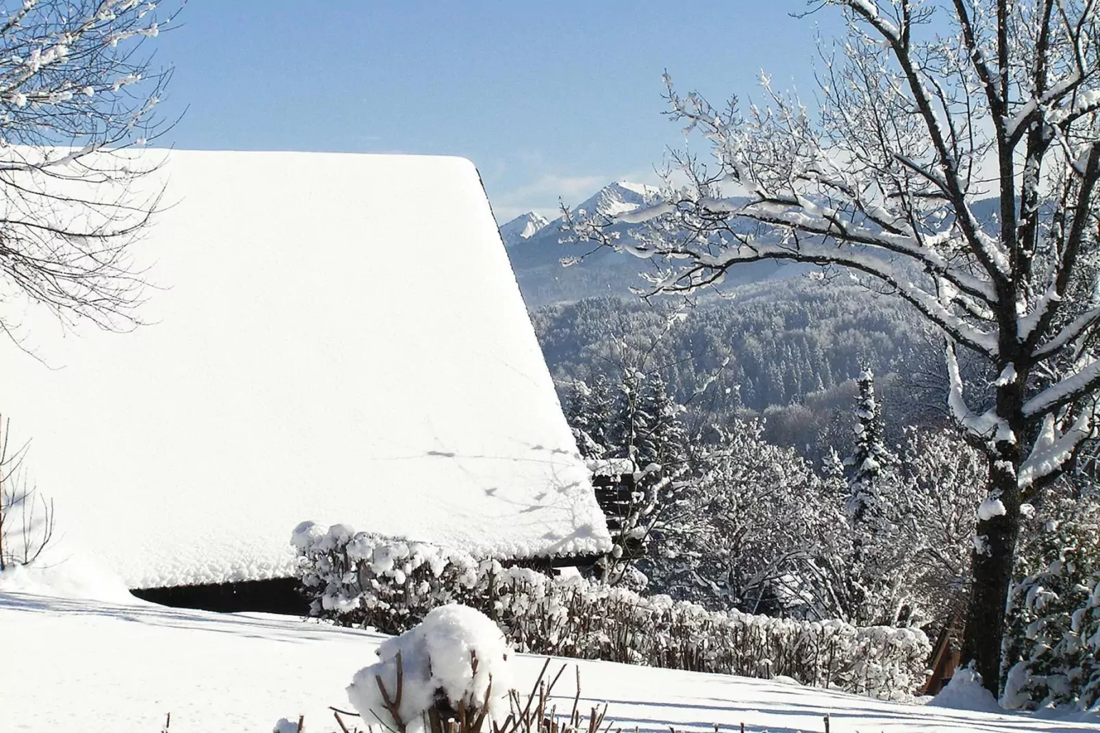 exteriorwinter
