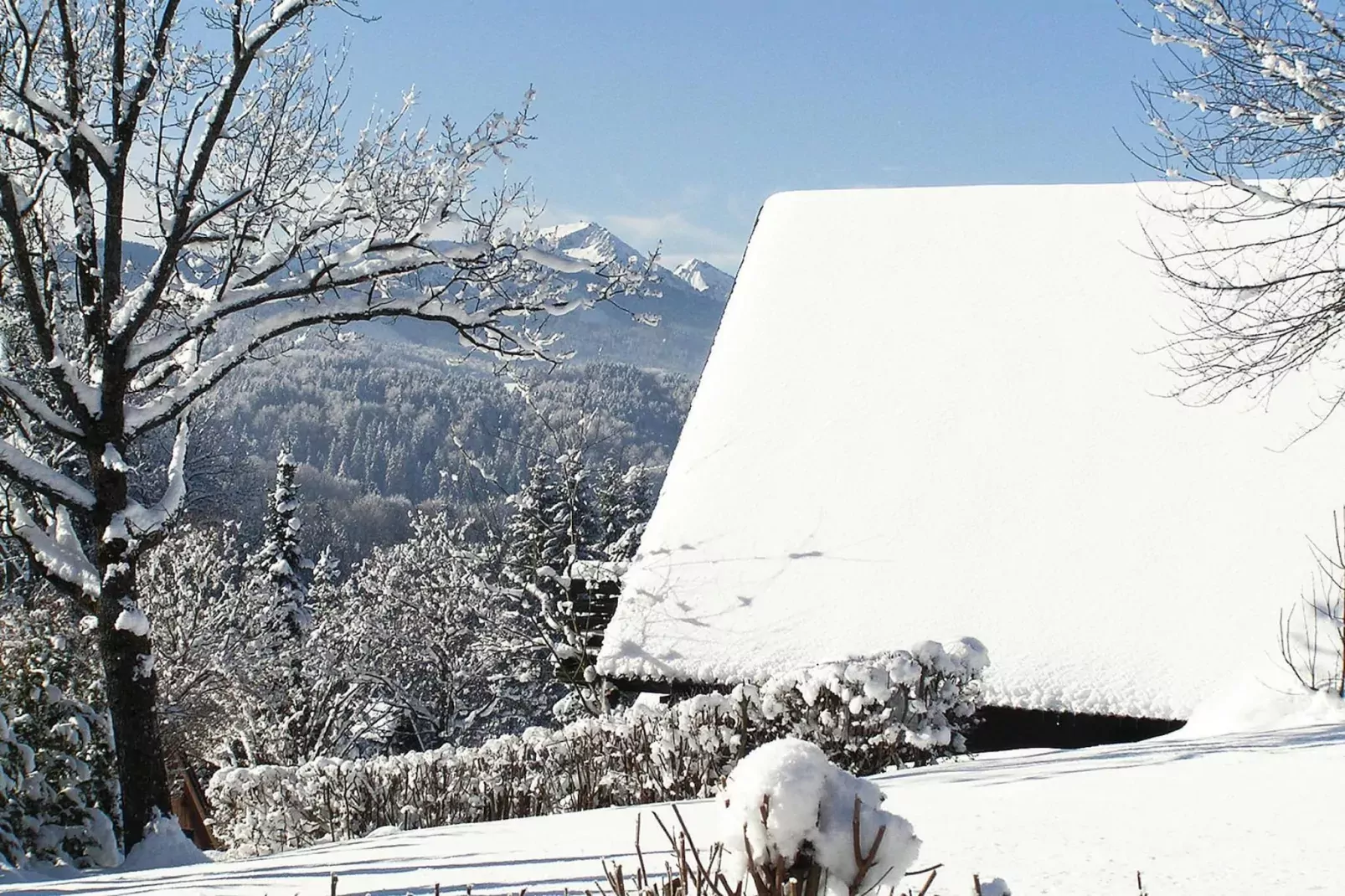 Holiday village Vorauf, Siegsdorf-Typ B, Ferienhaus Typ Oslo, 81 qm-Exterieur winter