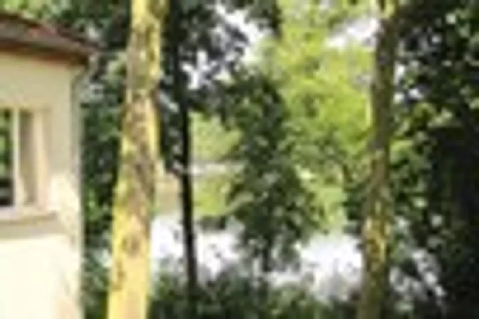 Ferienhaus 140 qm-Uitzicht zomer