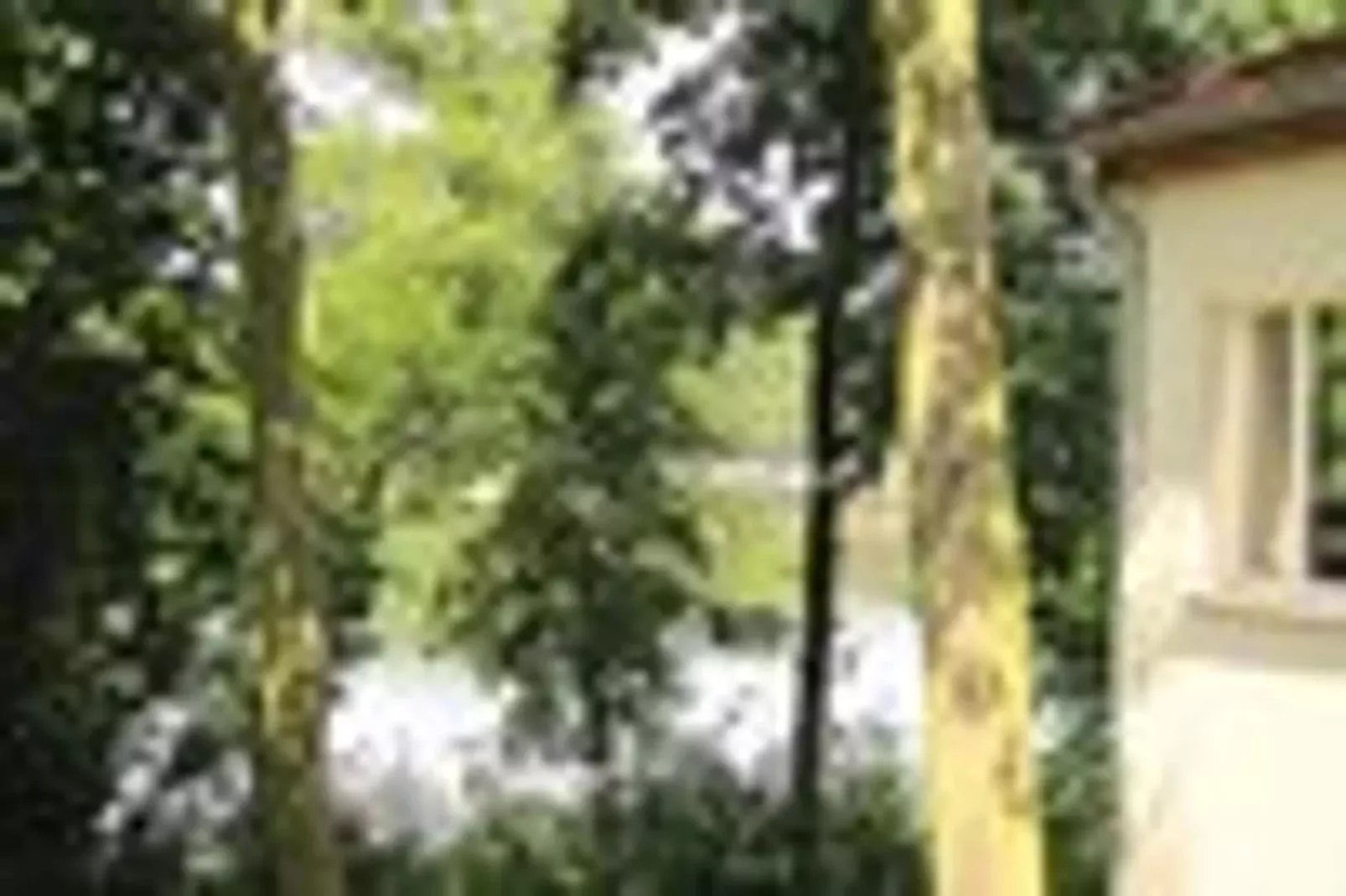 Ferienhaus 140 qm-Uitzicht zomer