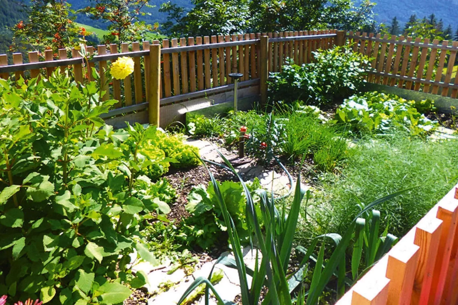 Niedermunthof Villnöß - Fermeda-Tuinen zomer