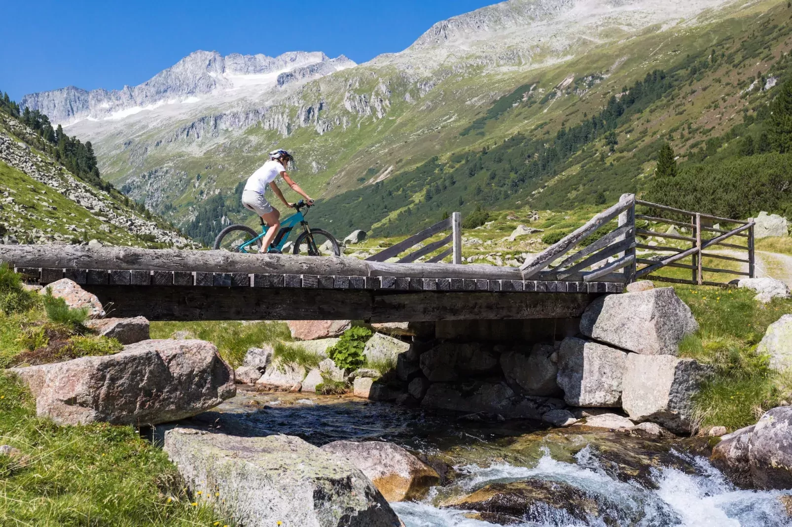 Chalet Rosenalm-Gebieden zomer 1km
