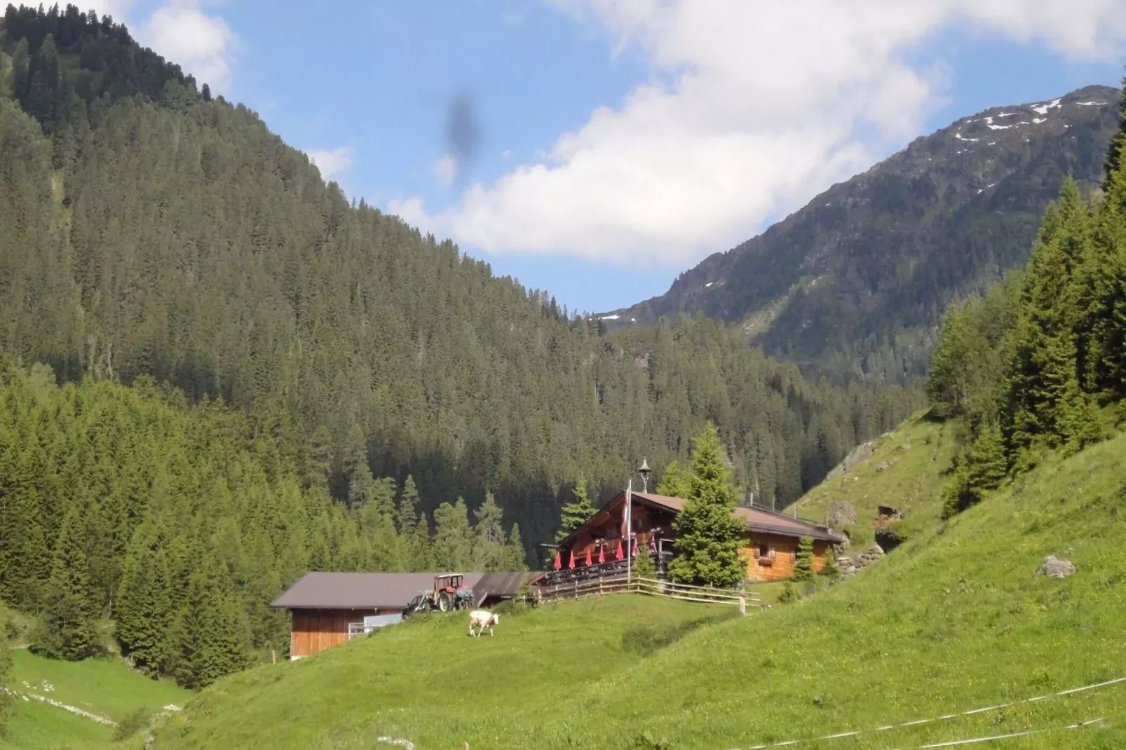 Chalet Rosenalm-Gebieden zomer 5km