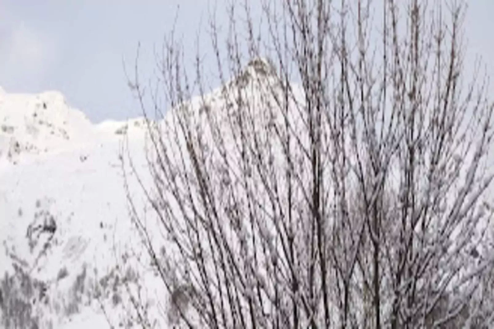 Chalet d'Alice-Gebied winter 5km