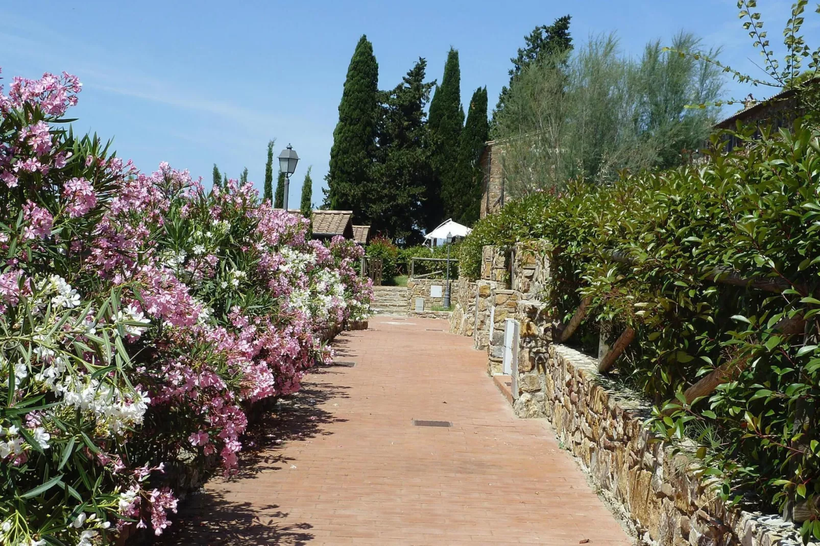 Holiday resort Antico Borgo Casalappi Campiglia Marittima - Type Bilo  B -piano terra- con terrazza-Buitenkant zomer