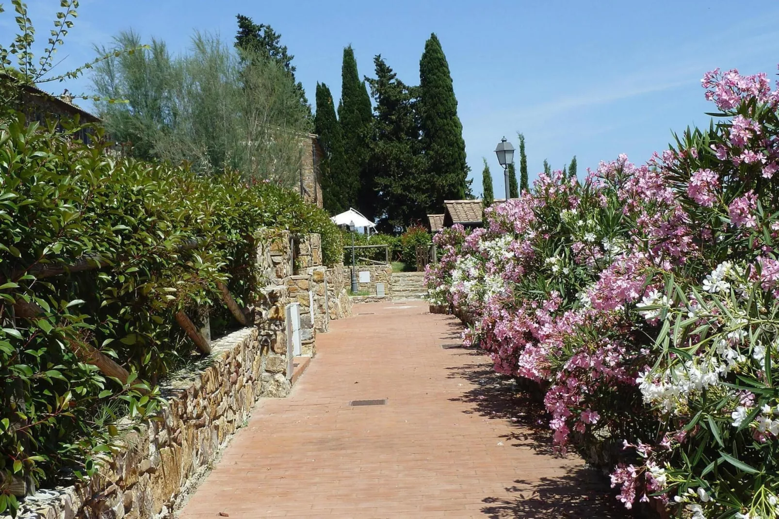 Holiday resort Antico Borgo Casalappi Campiglia Marittima - Type Bilo  B -piano terra- con terrazza-Buitenkant zomer