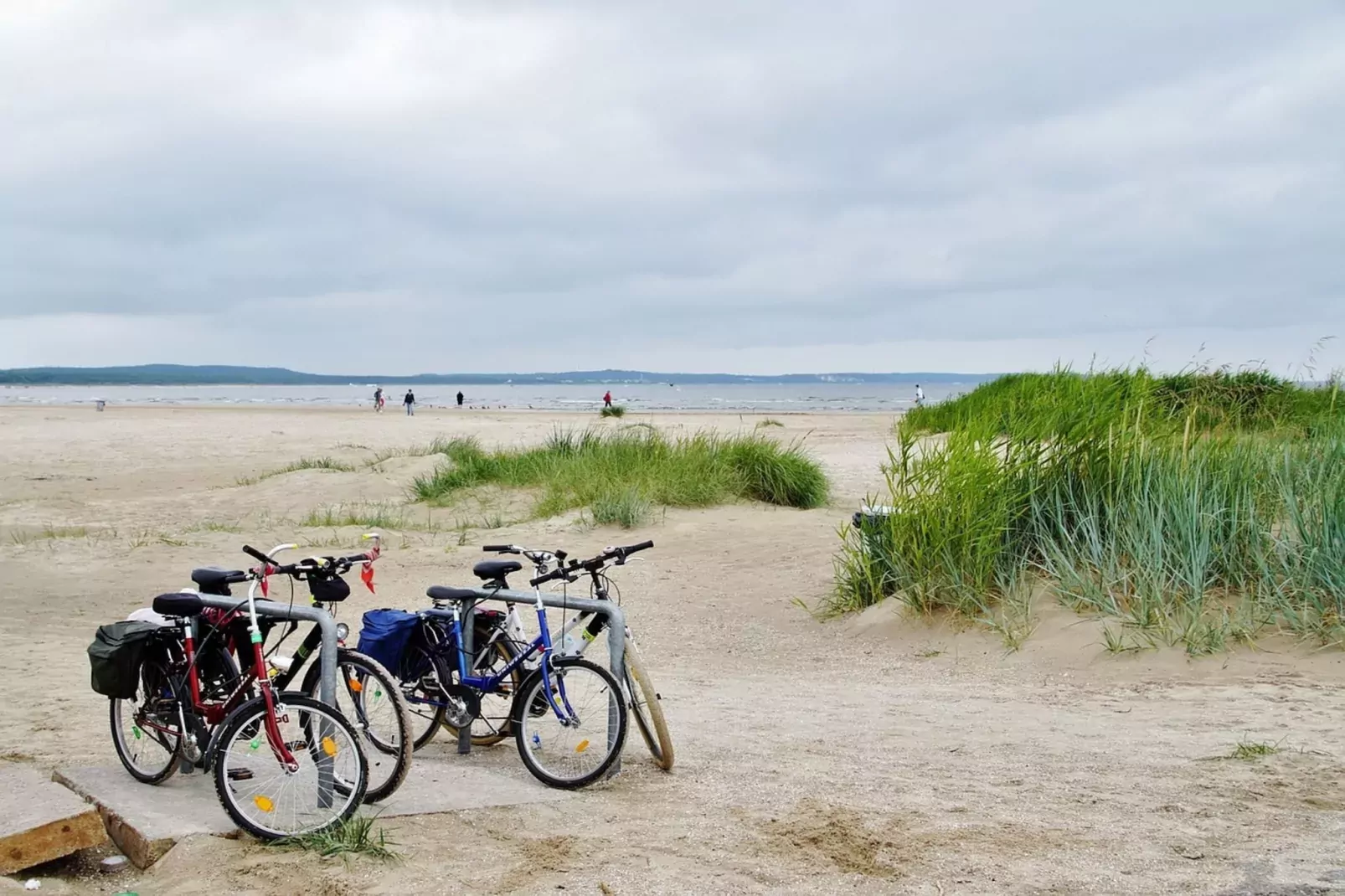 Ferienhaus Fiete Dranske-Gebieden zomer 1km