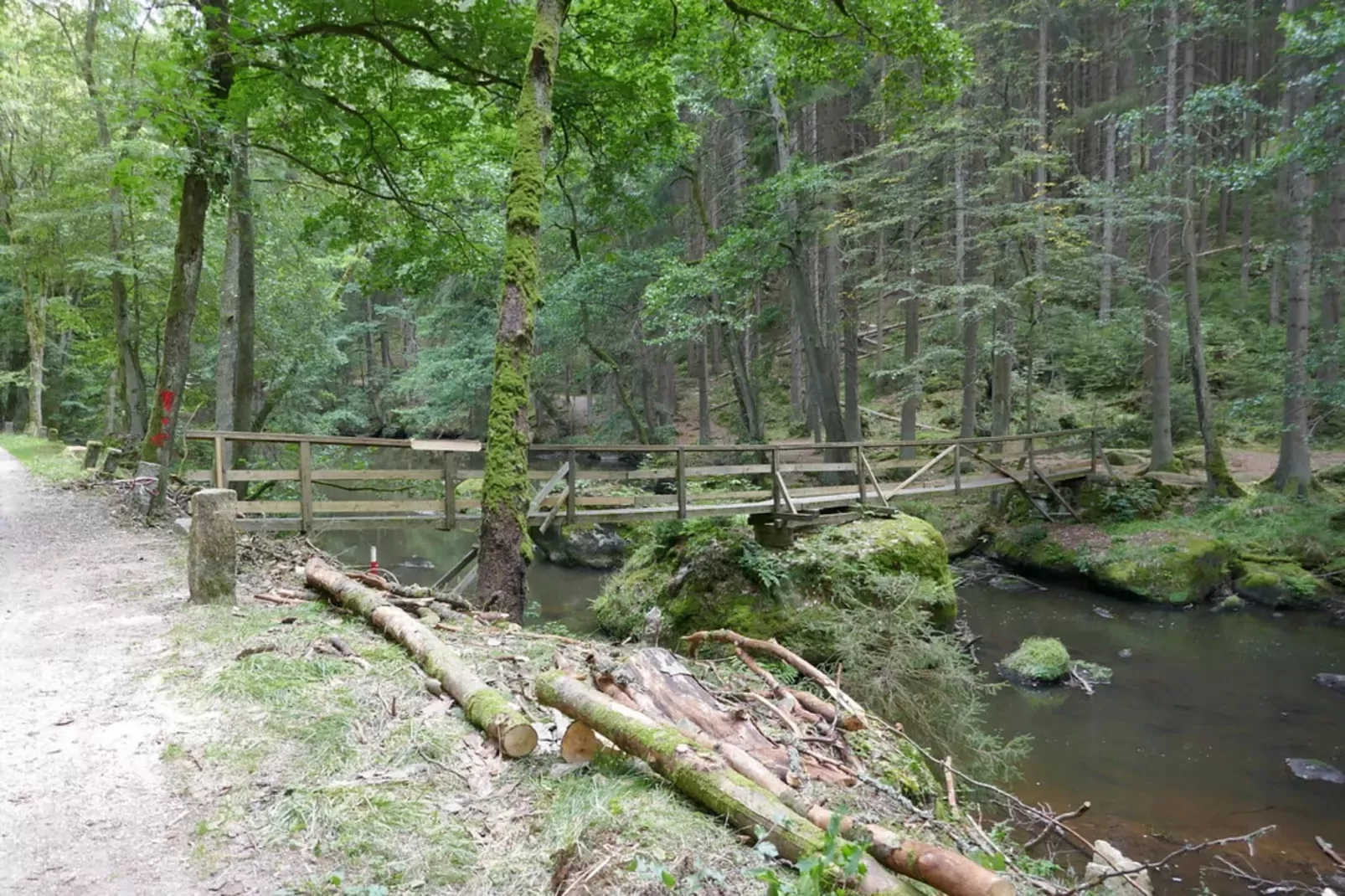 Ferienhaus Wiek-Gebieden zomer 5km