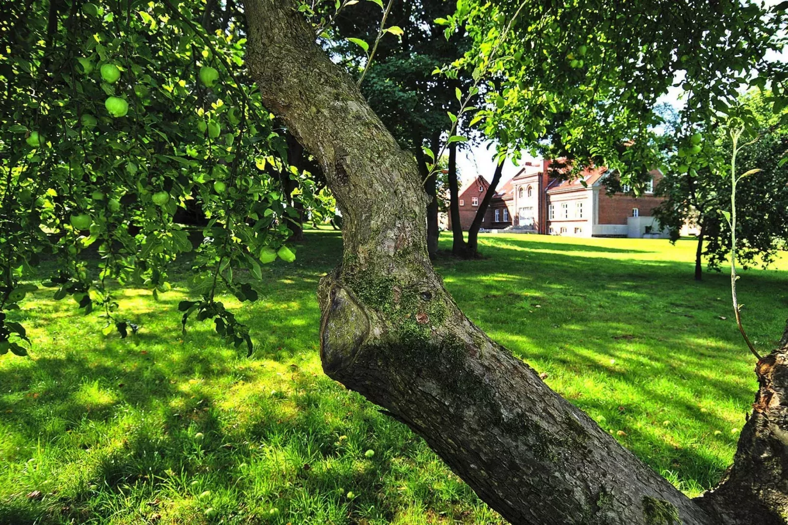 Gutshaus Zicker -Wohnung 12-Tuinen zomer