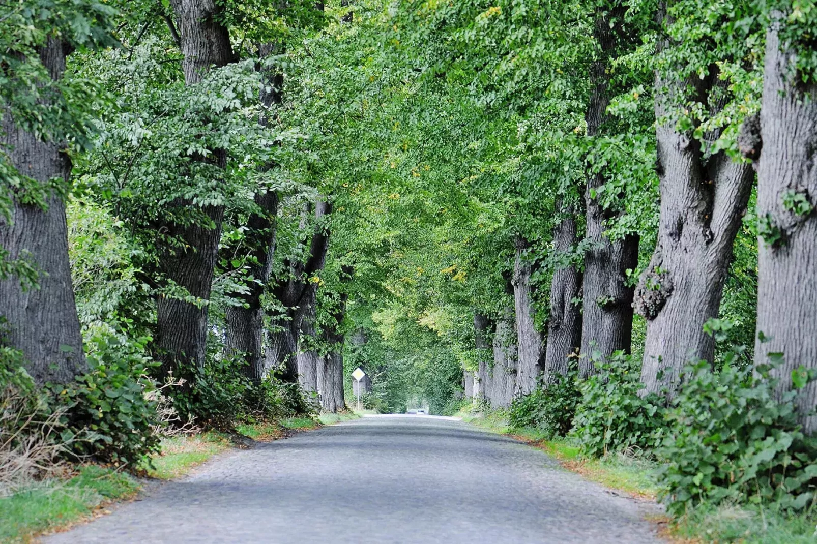 Gutshaus Zicker -Wohnung 12-Gebieden zomer 1km