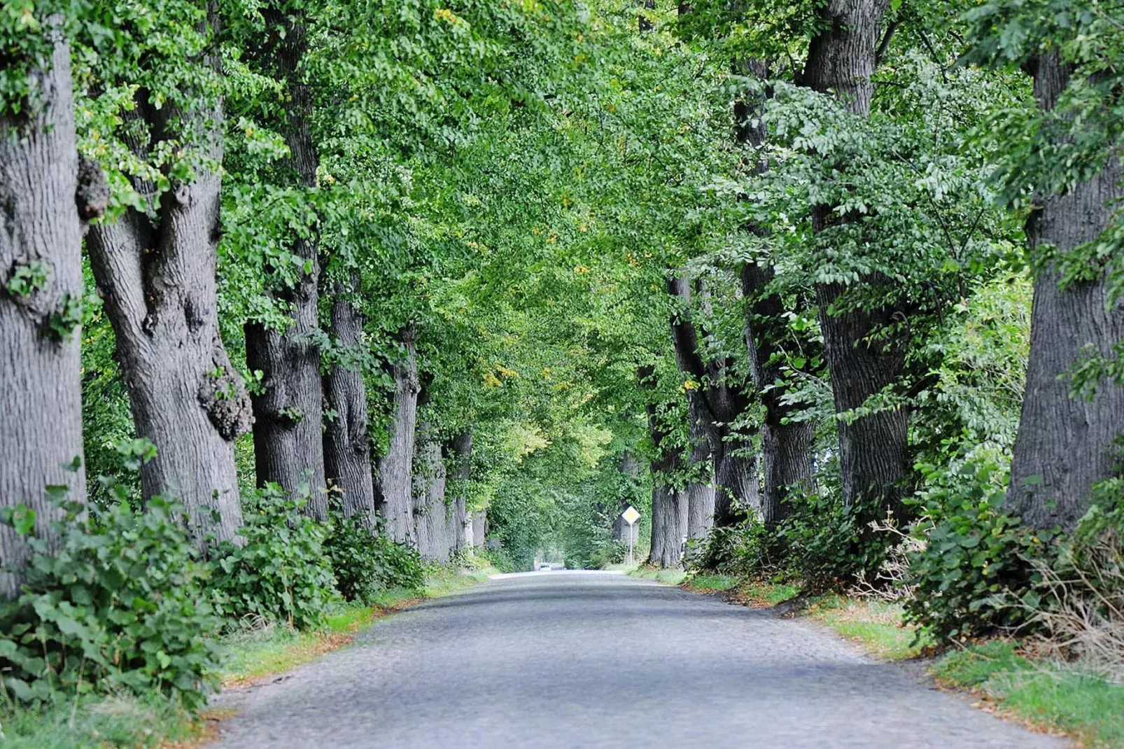 Gutshaus Zicker -Wohnung 12-Gebieden zomer 1km
