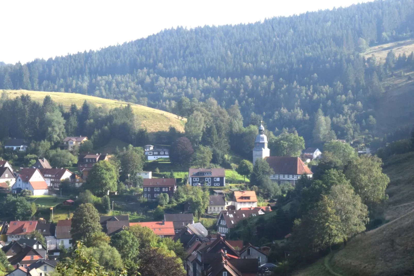 Ferienwohnung Veranda in Harz Wildemann-Gebieden zomer 5km