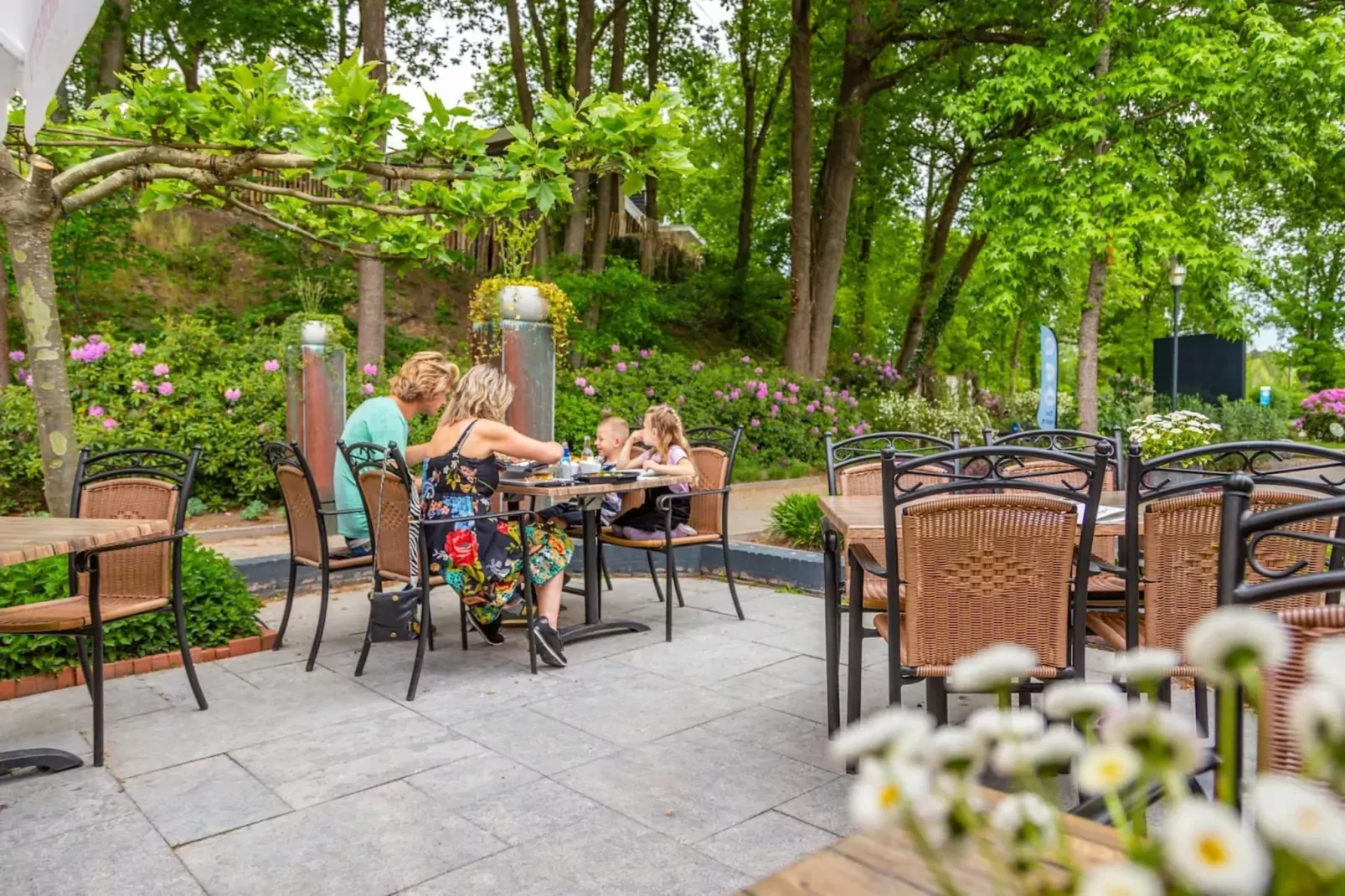 Resort Maasduinen 12-Parkfaciliteiten