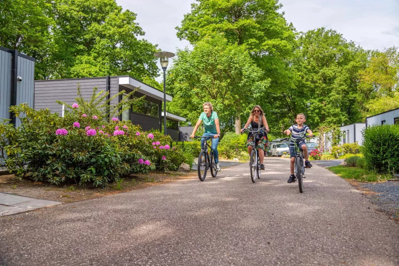 Resort Maasduinen 12-Gebieden zomer 5km