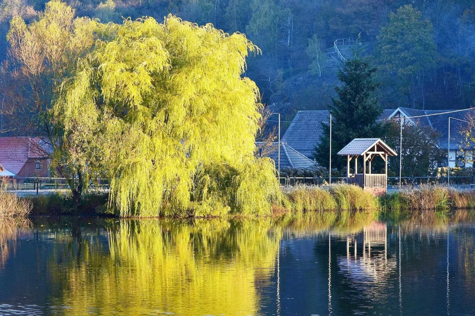 Ferienhaus in Hasselfelde - Haus 404 Auerhahn-Gebieden zomer 1km