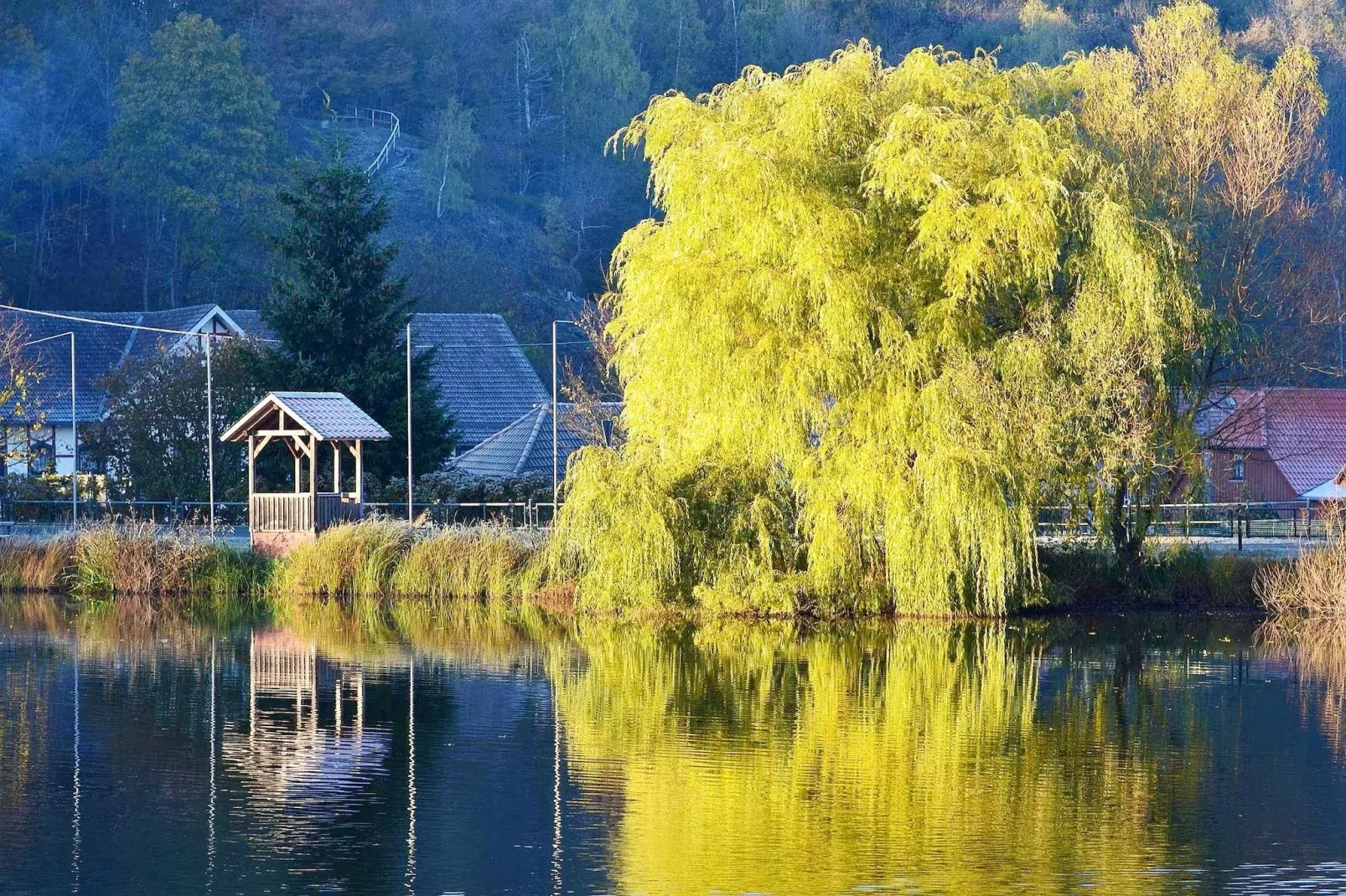 Ferienhaus in Hasselfelde - Haus 404 Auerhahn-Gebieden zomer 5km
