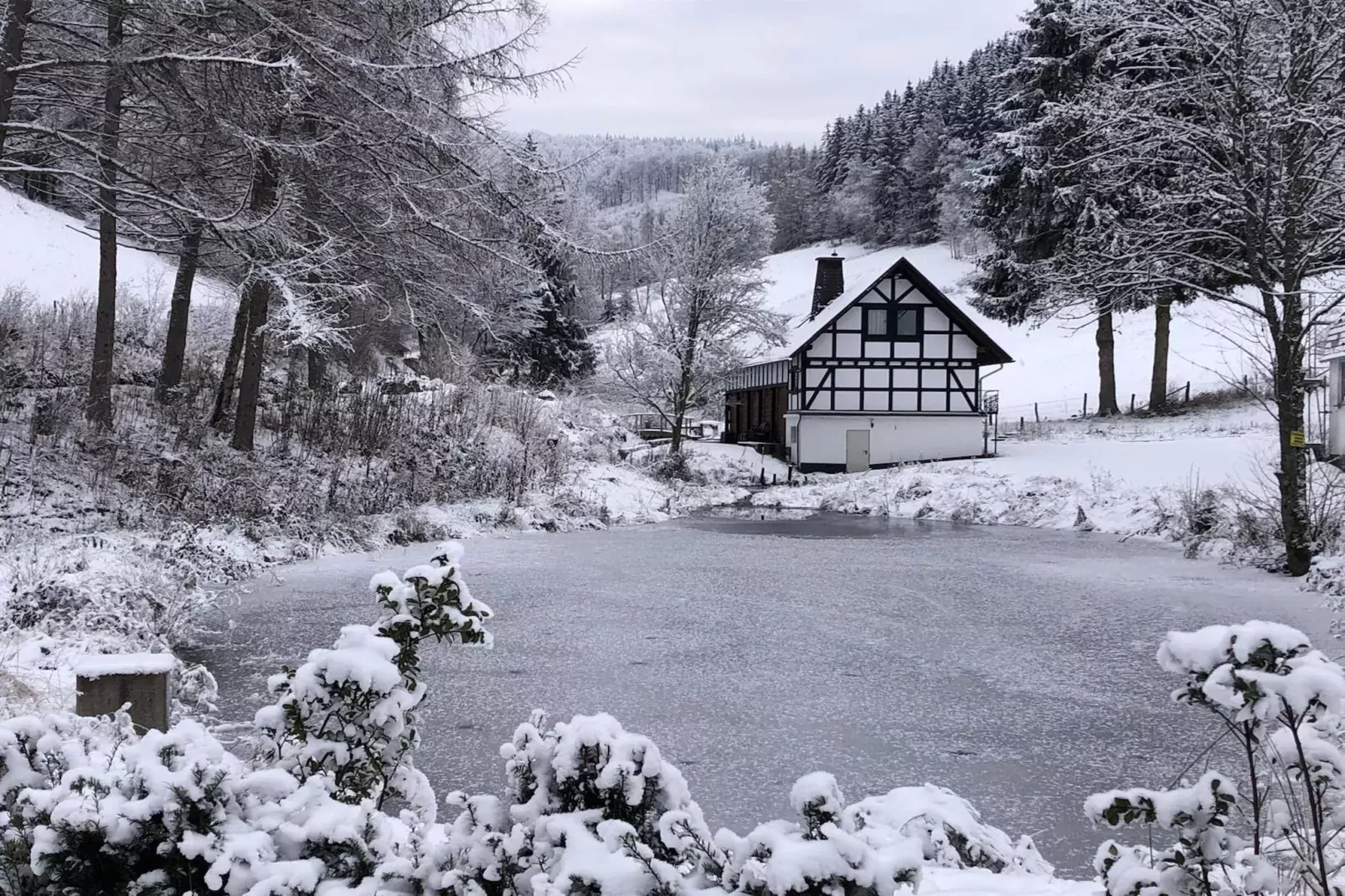 Lodge Winterberg-Exterieur winter