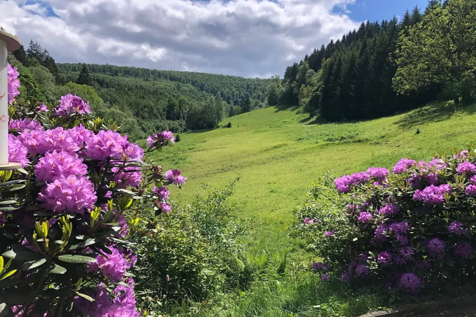Lodge Winterberg-Tuinen zomer