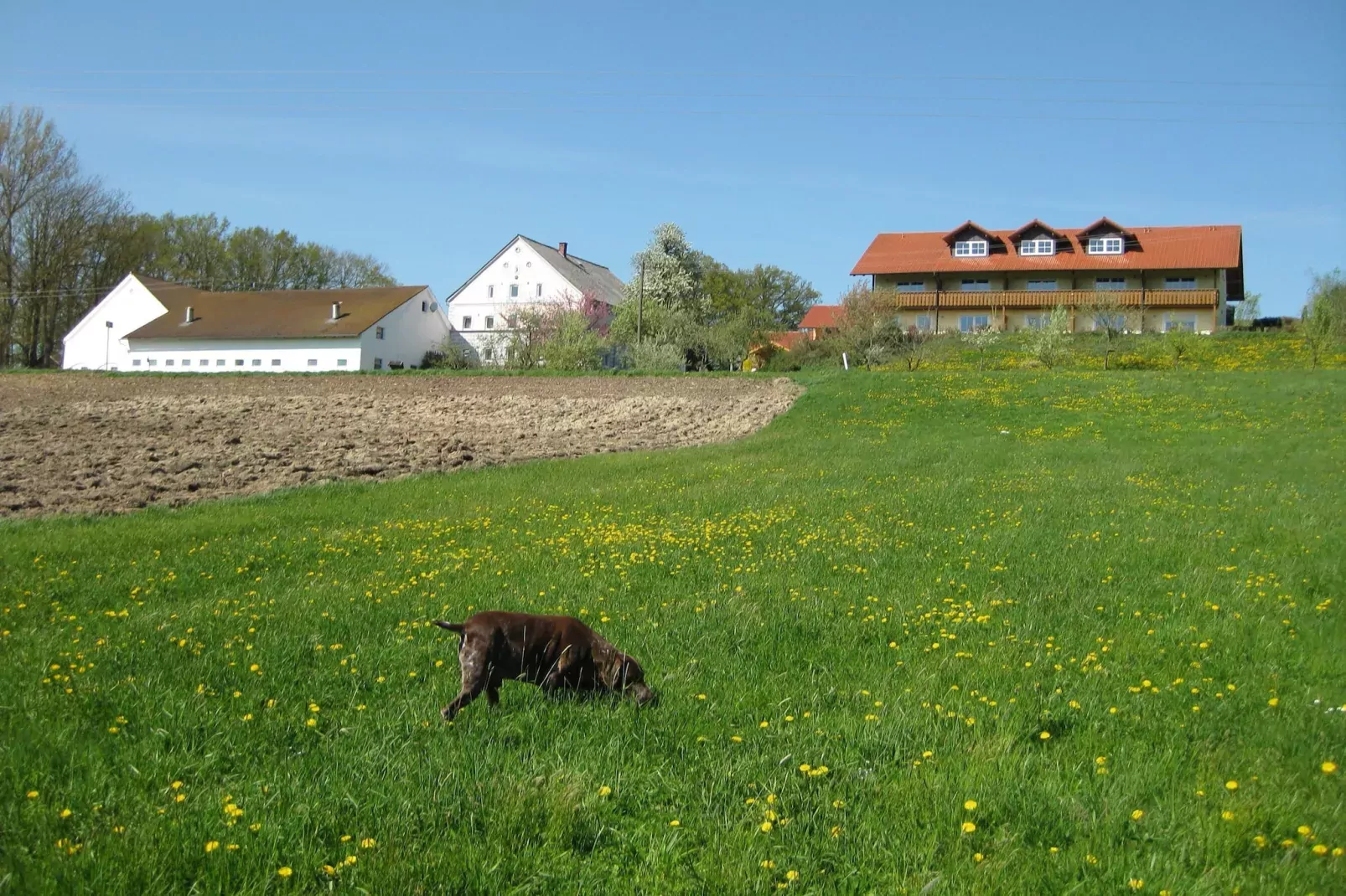 Am Ferienhof-Tuinen zomer
