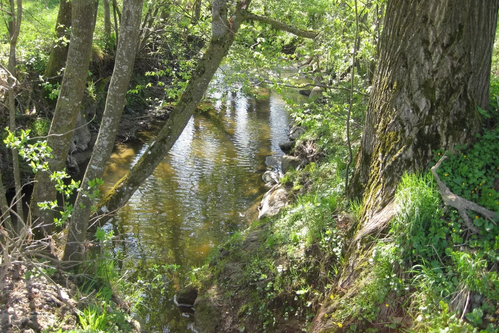 Am Ferienhof-Gebieden zomer 5km