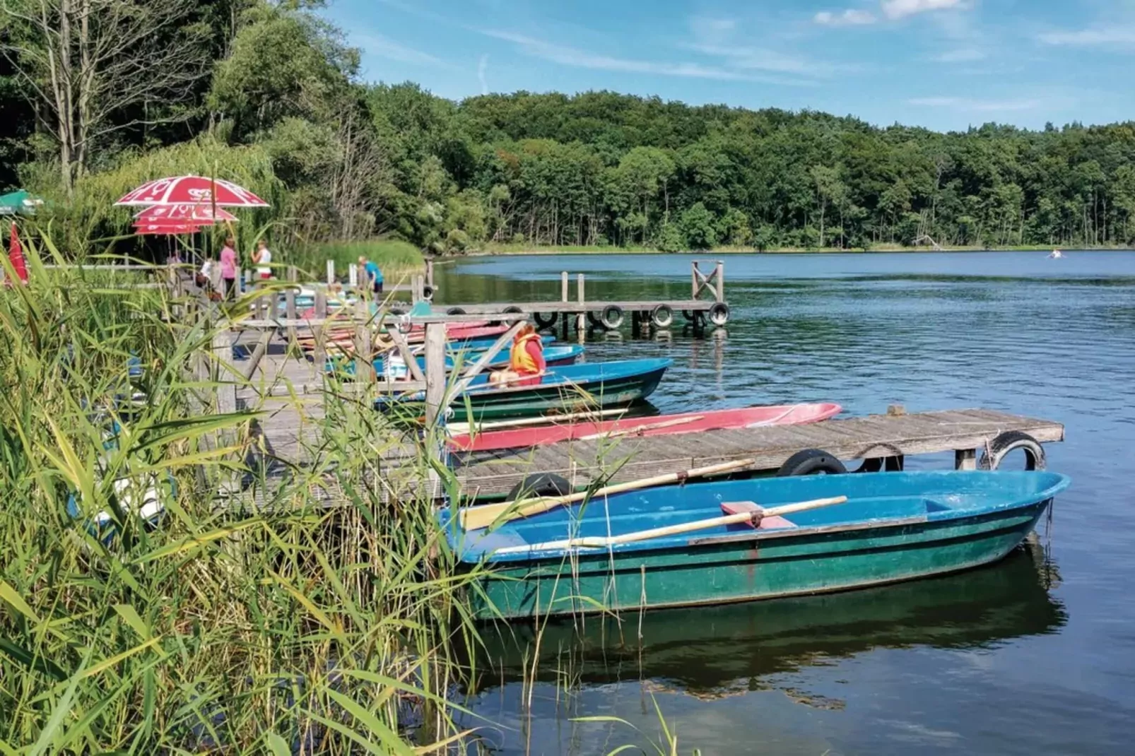 Villa Froschkönig-Gebieden zomer 1km