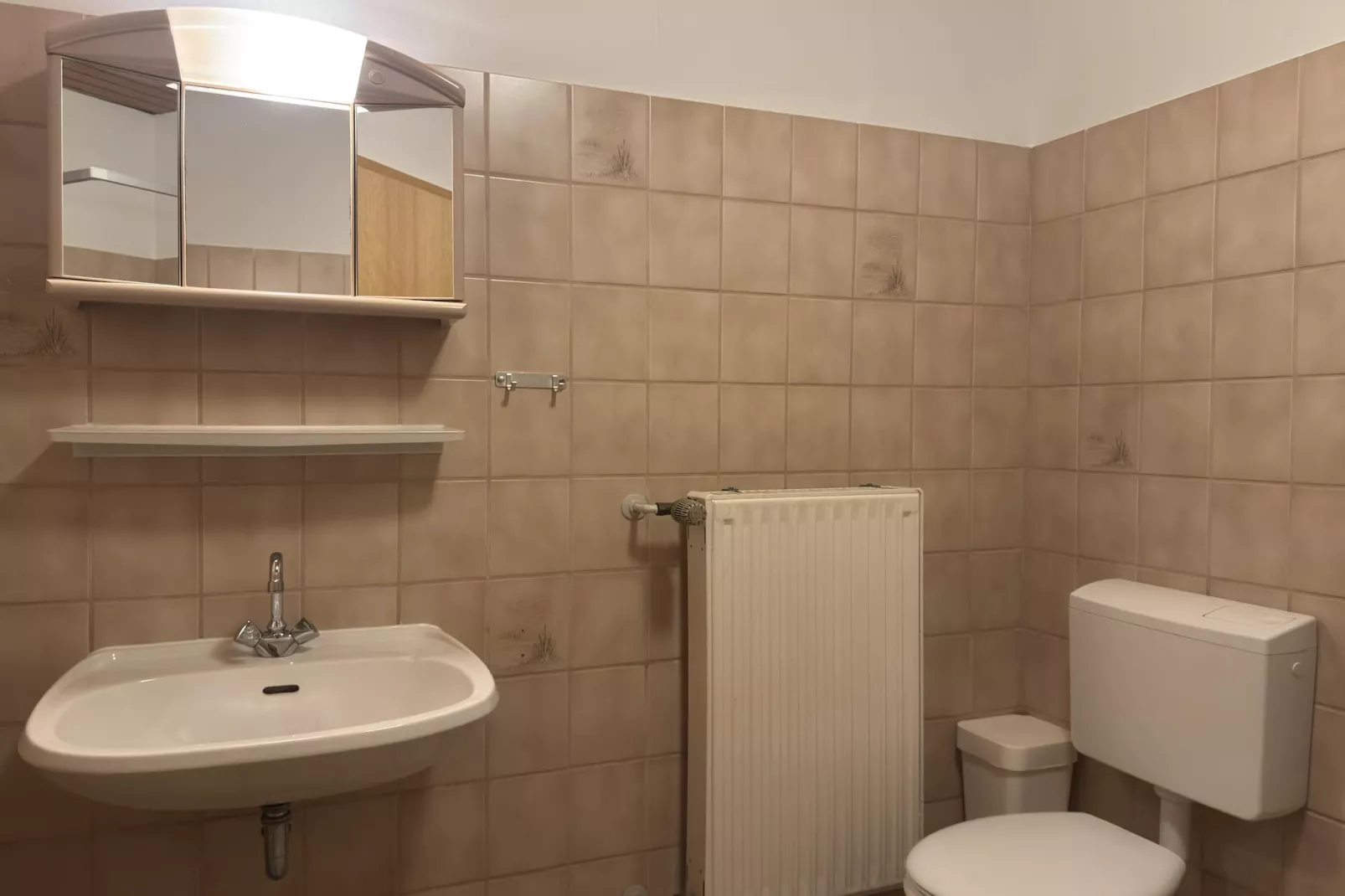 Fewo Tessin 2 Pers-Badkamer