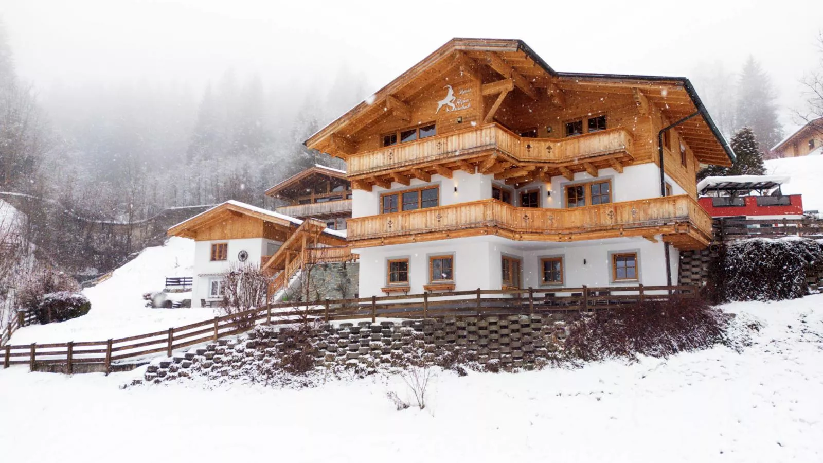 Alpensteinbock Saalbach D-Exterieur winter