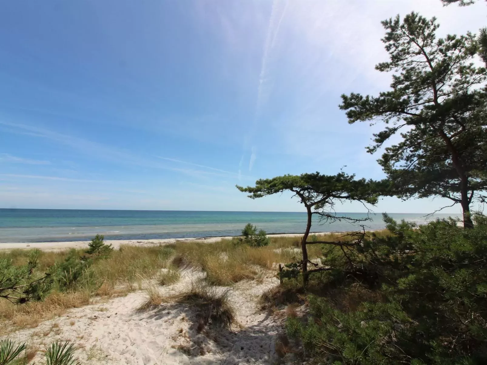 "Betti" - 700m from the sea