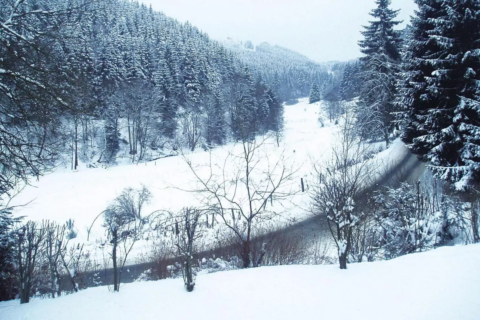 2 Raum App 4 Pers 55 qm-Gebied winter 5km