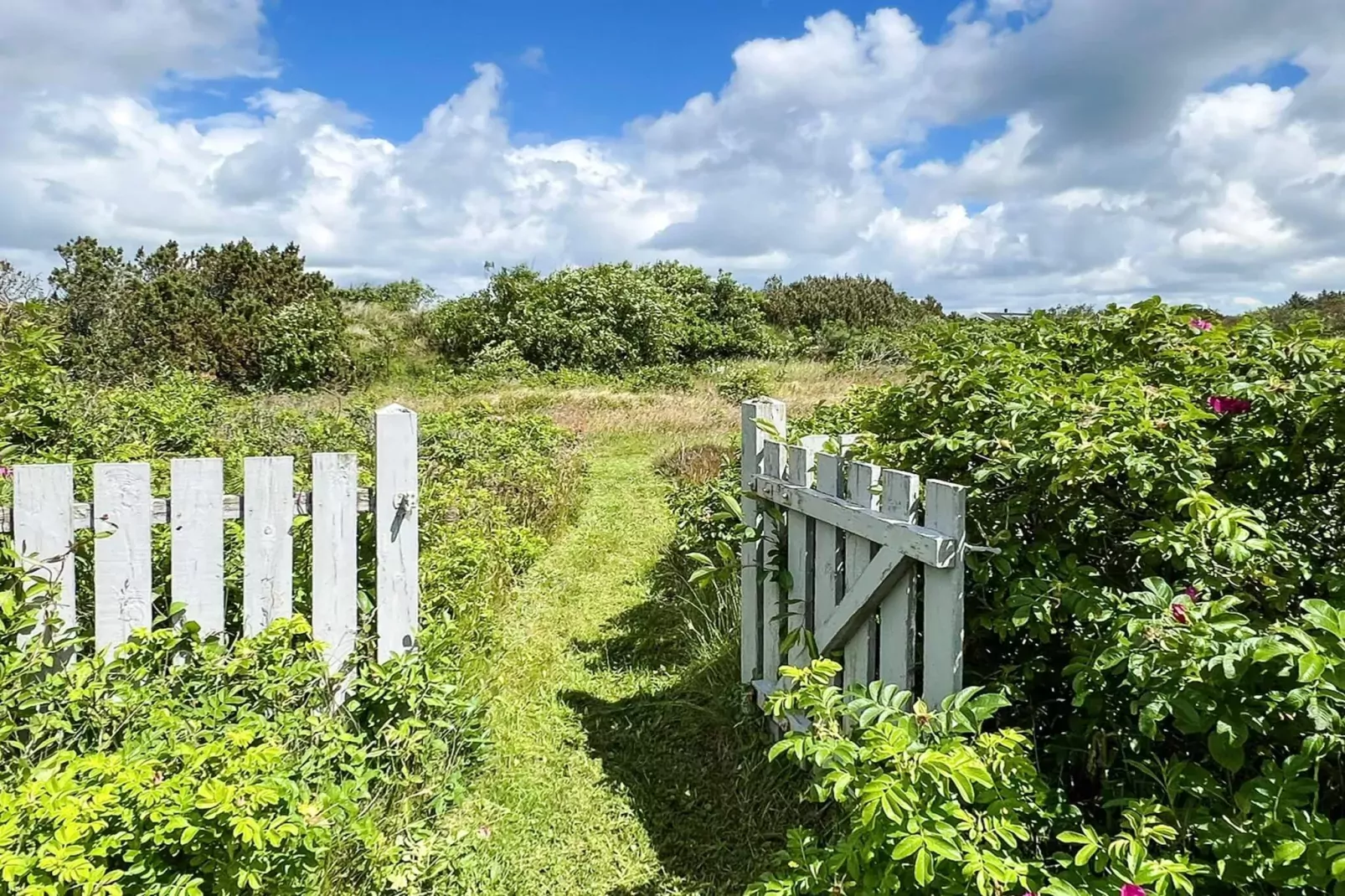 4 persoons vakantie huis in Ringkøbing-By Traum-Buitenlucht