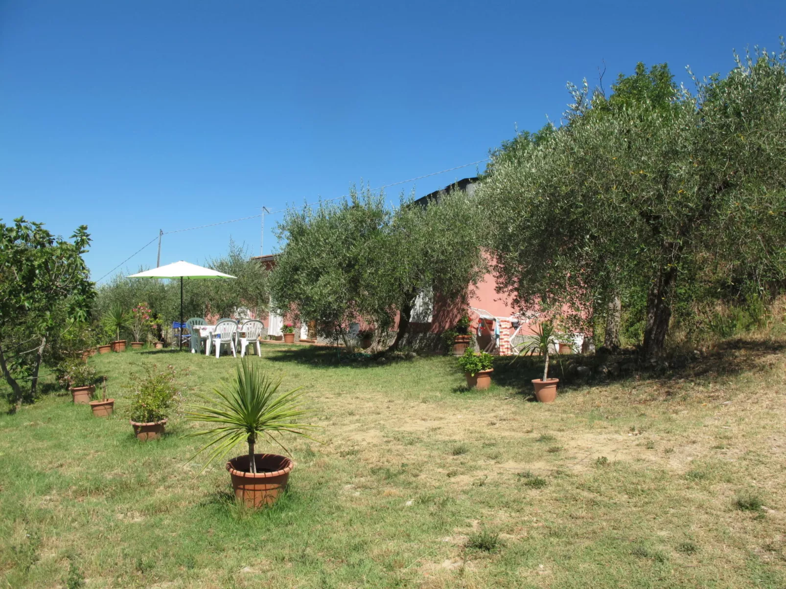 Podere Conte Francesco-Carla-Buiten