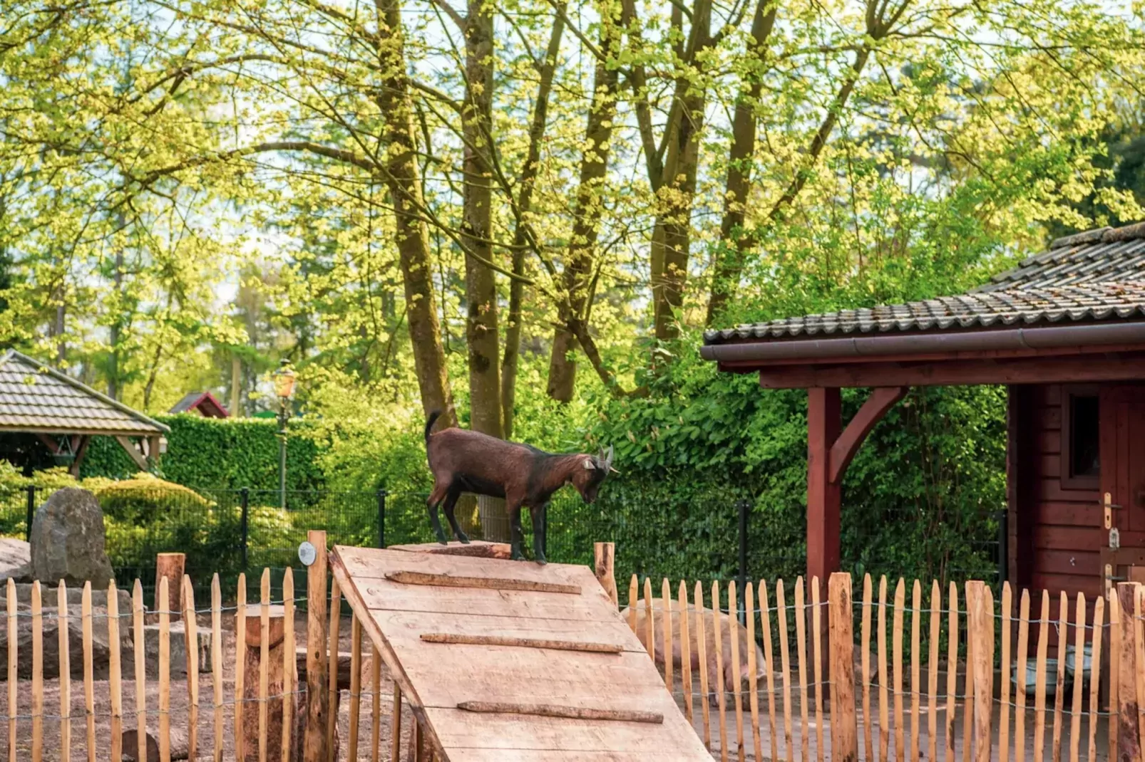 Resort De Achterhoek-Gebieden zomer 1km