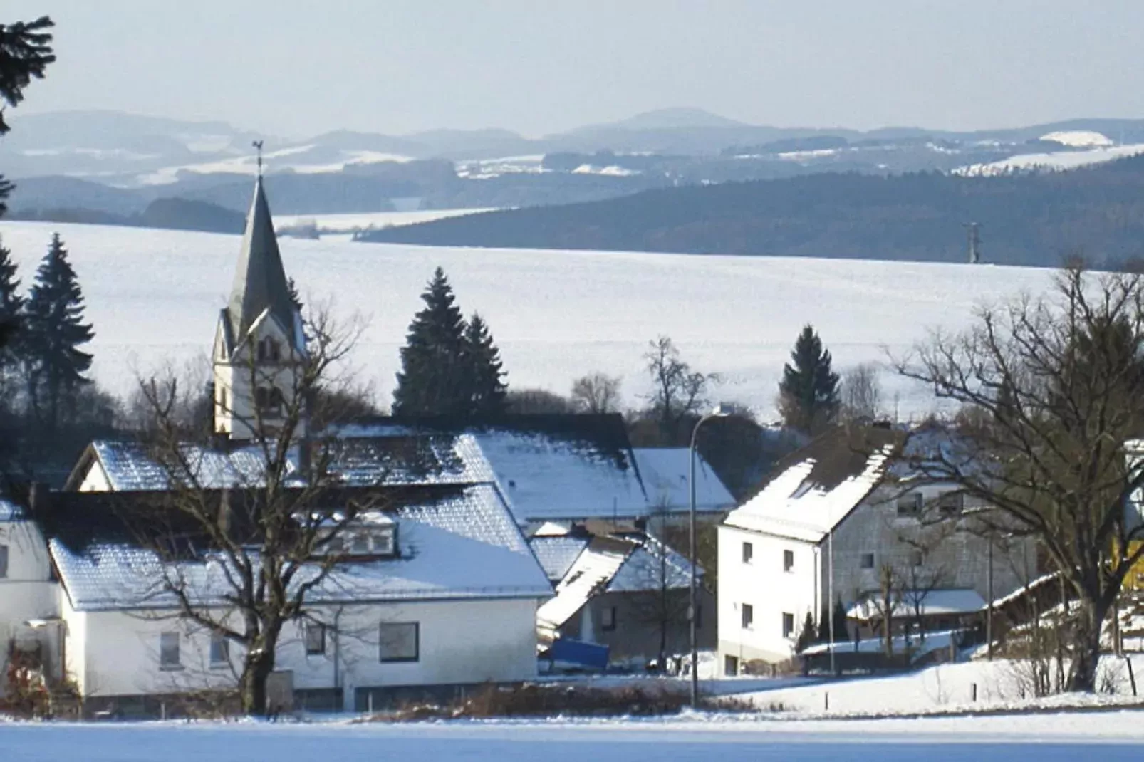 Zaunkönig-Exterieur winter