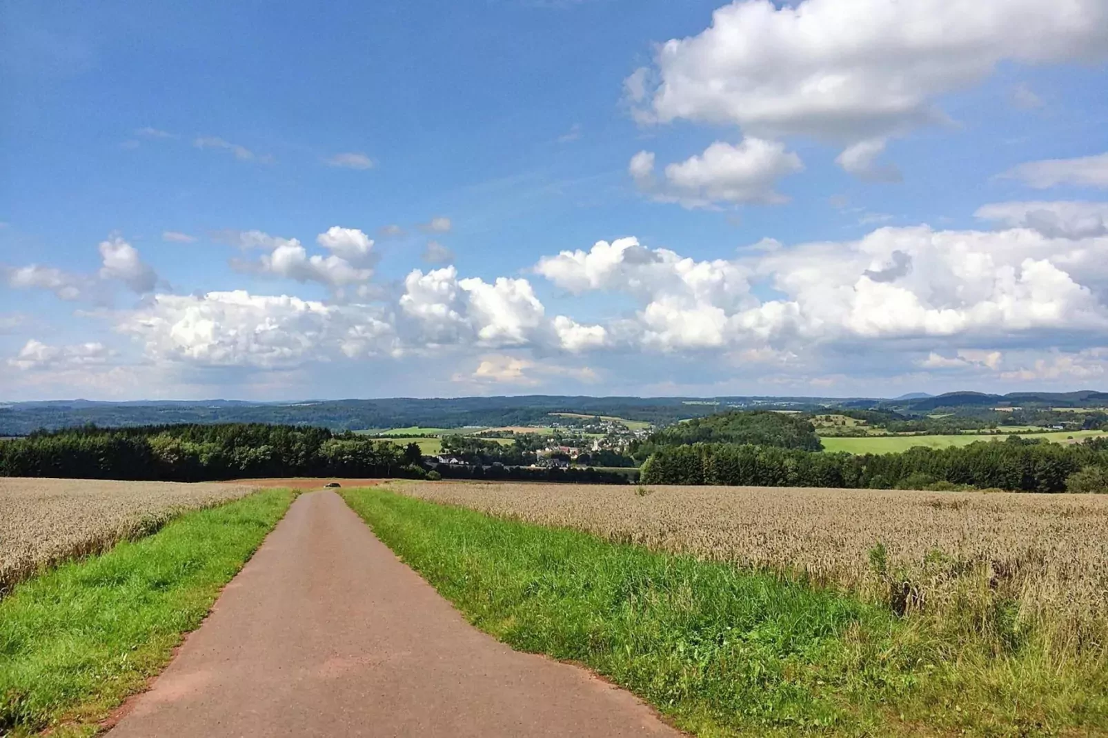 Zaunkönig-Gebieden zomer 5km