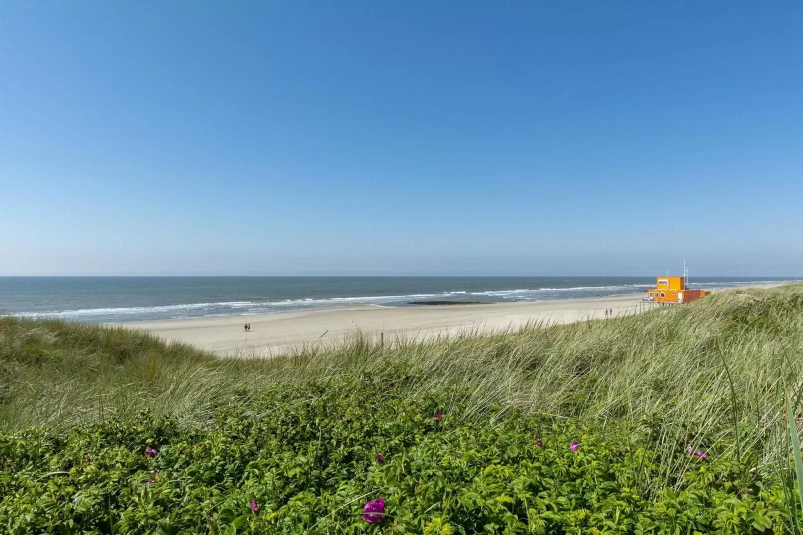 Garnekuul 76-Gebieden zomer 5km