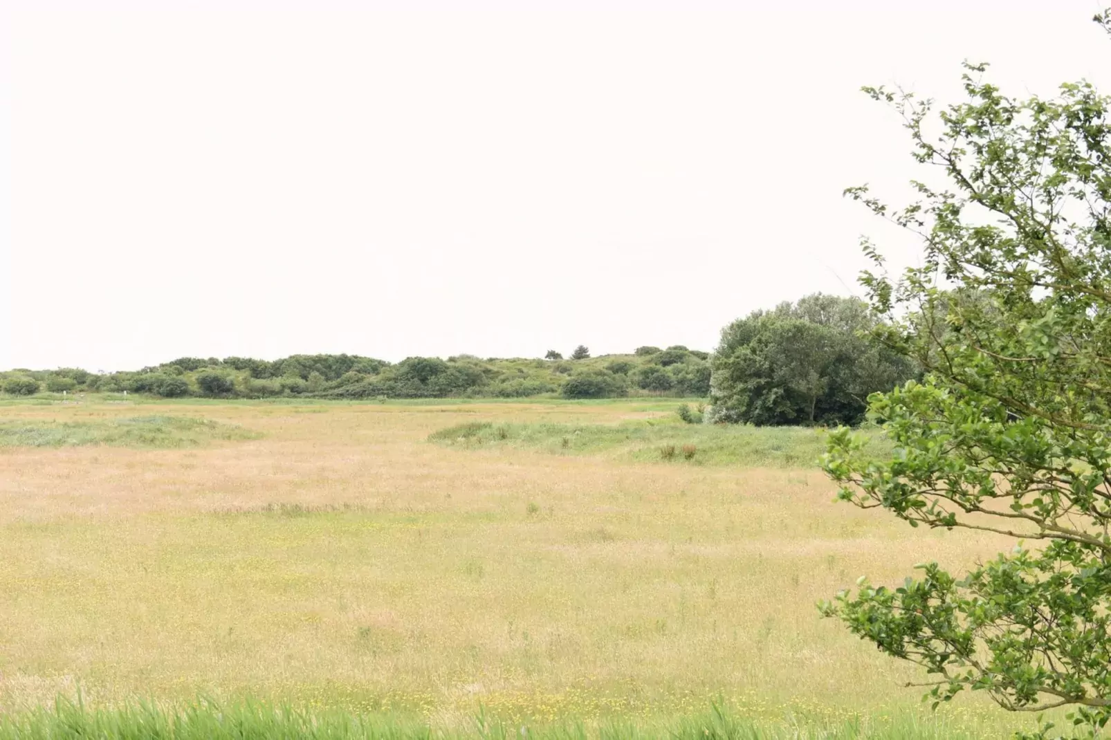 Hoeve Landzicht-Gebieden zomer 5km