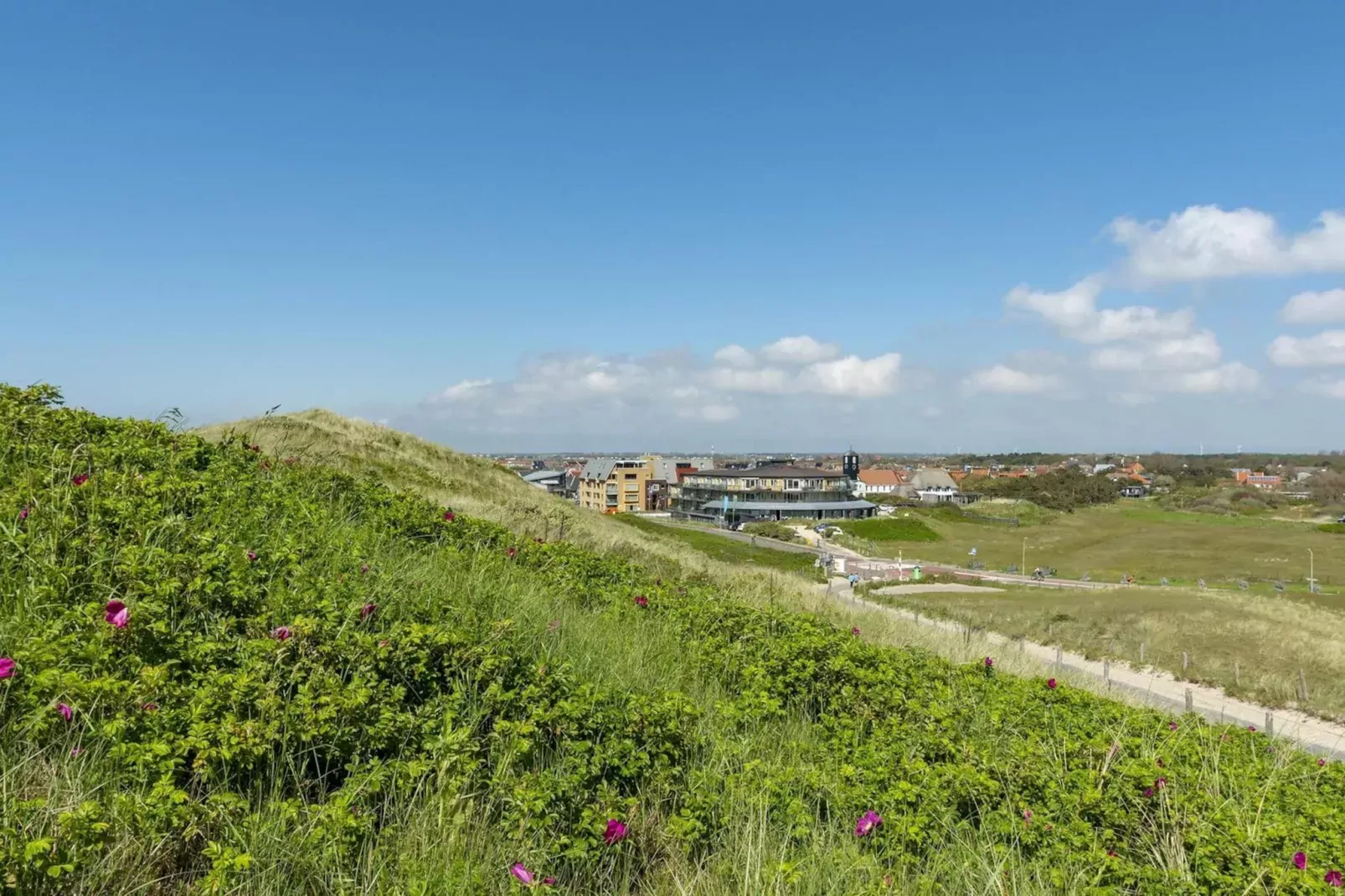 Wijde Blick 201-Gebieden zomer 1km