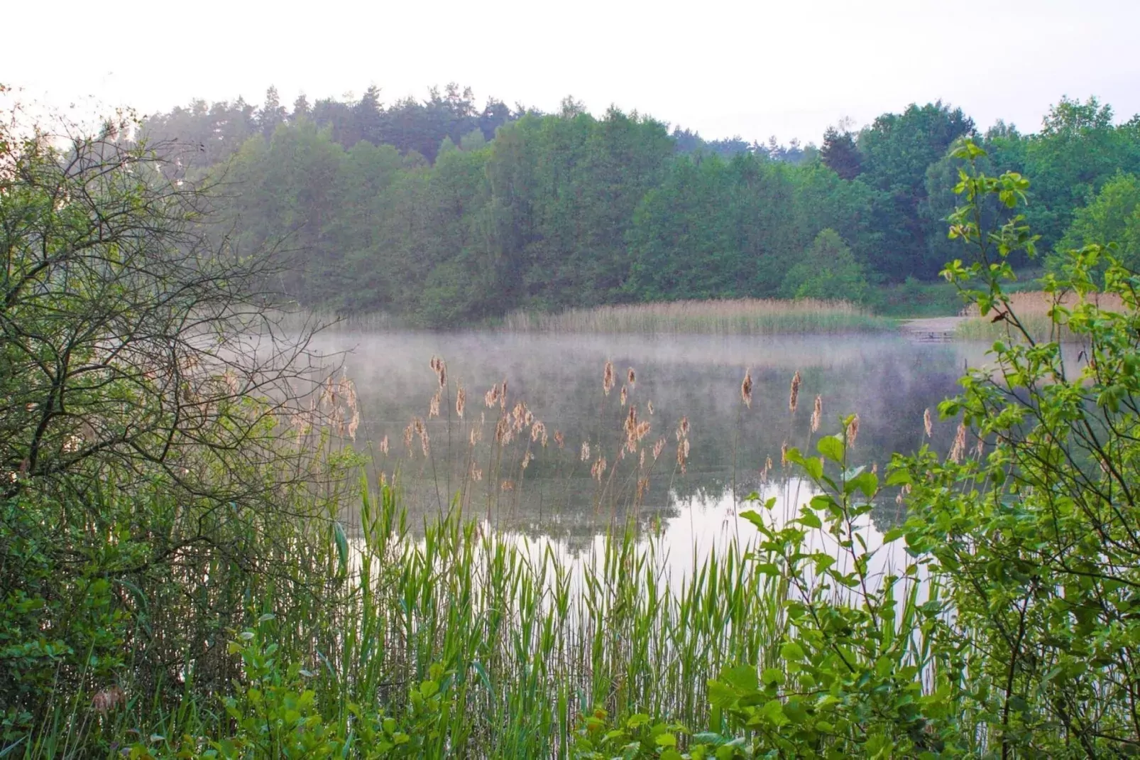 Doppelhaus Seestern-Gebieden zomer 5km
