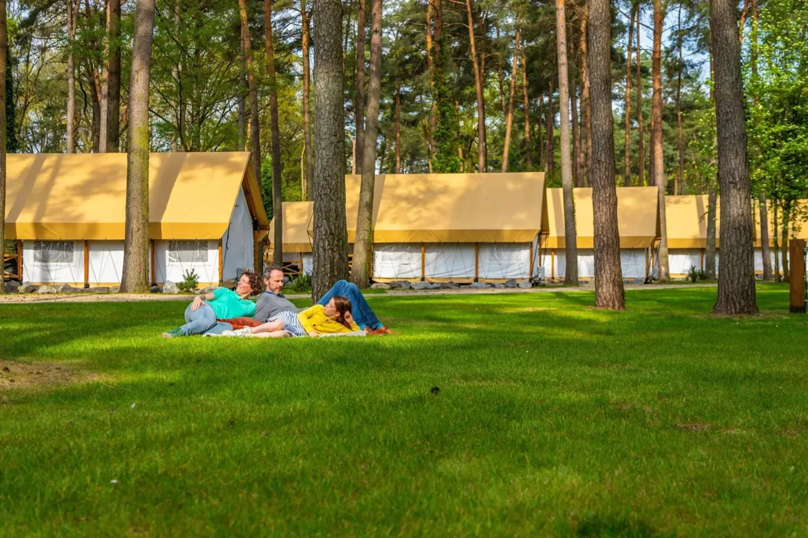 Resort Hoge Kempen 12-Parkfaciliteiten