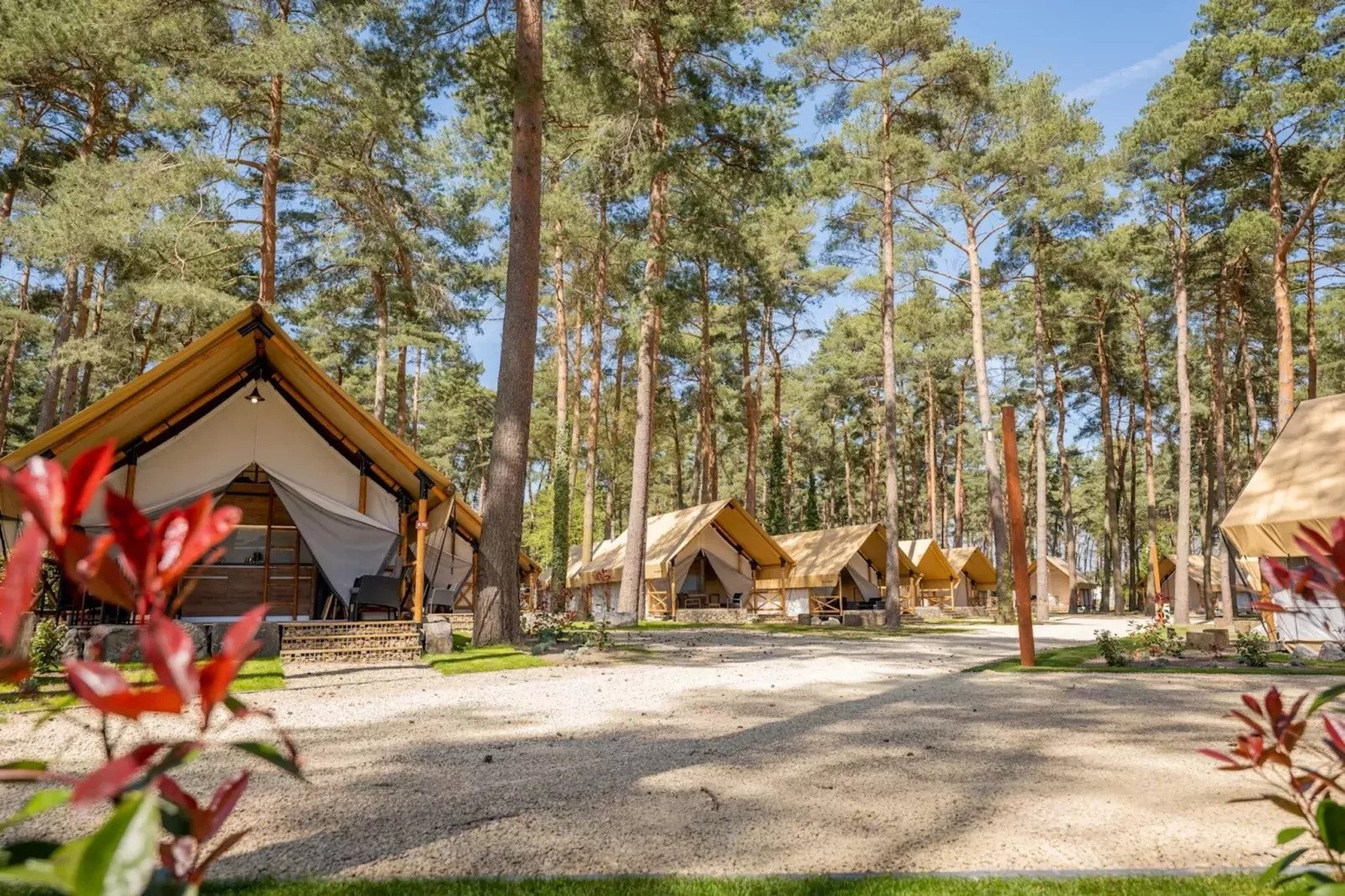 Resort Hoge Kempen 13-Gebieden zomer 1km