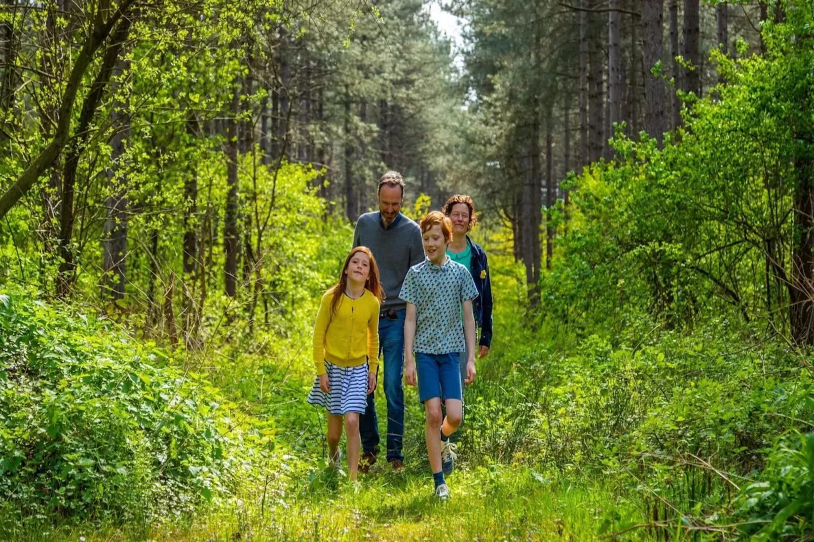 Resort Hoge Kempen 13-Gebieden zomer 5km