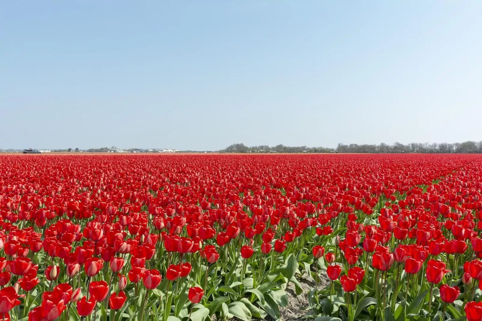 Wijde Blick 307-Gebieden zomer 5km