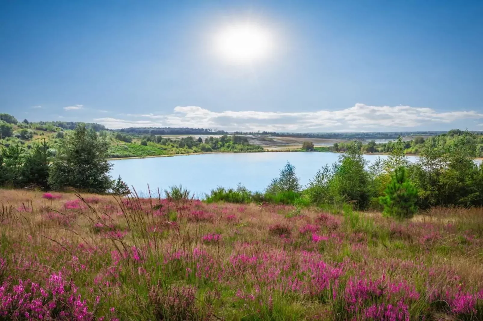 Resort Hoge Kempen 14-Gebieden zomer 1km