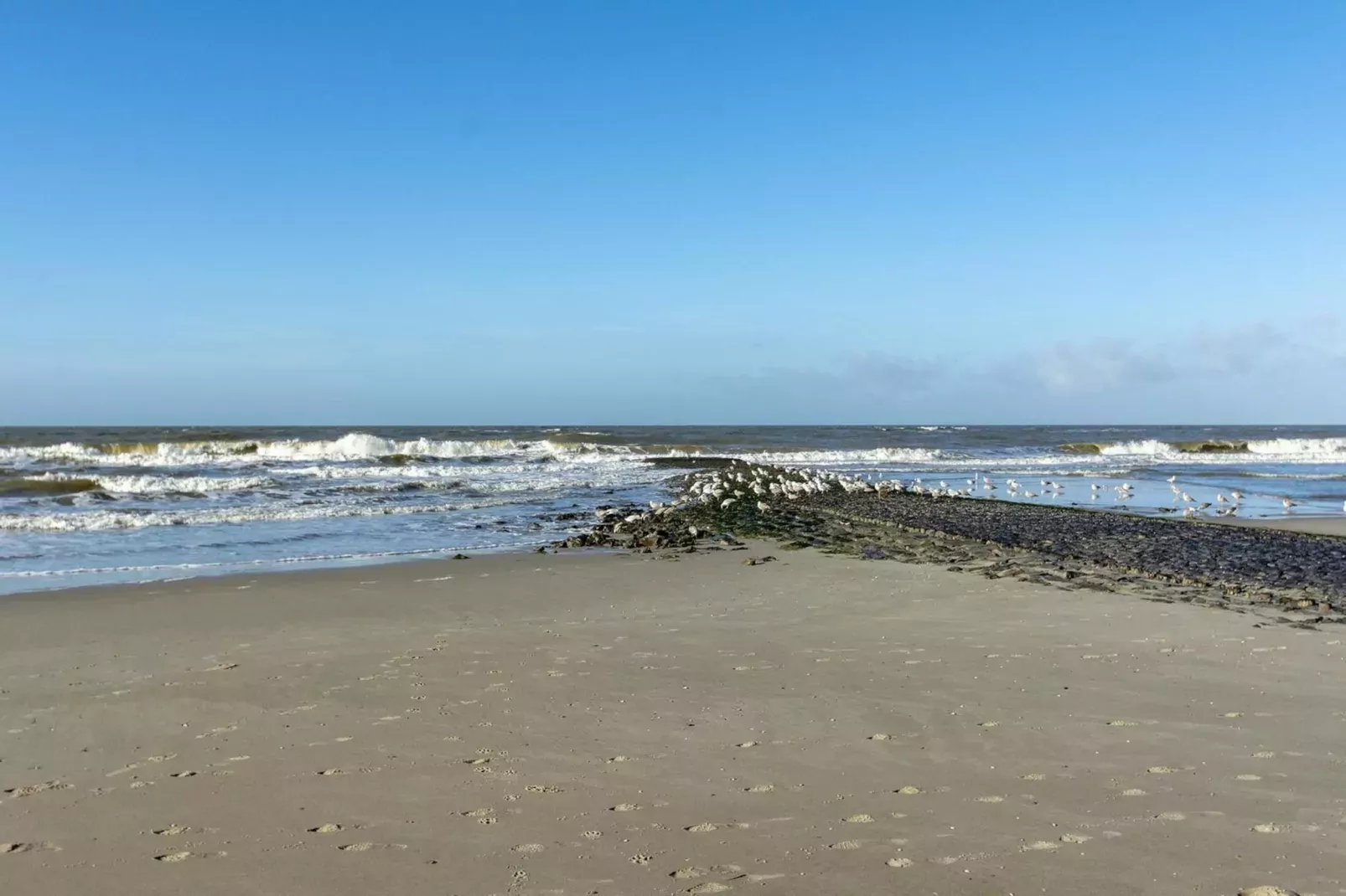 Wijde Blick 310-Gebieden zomer 5km