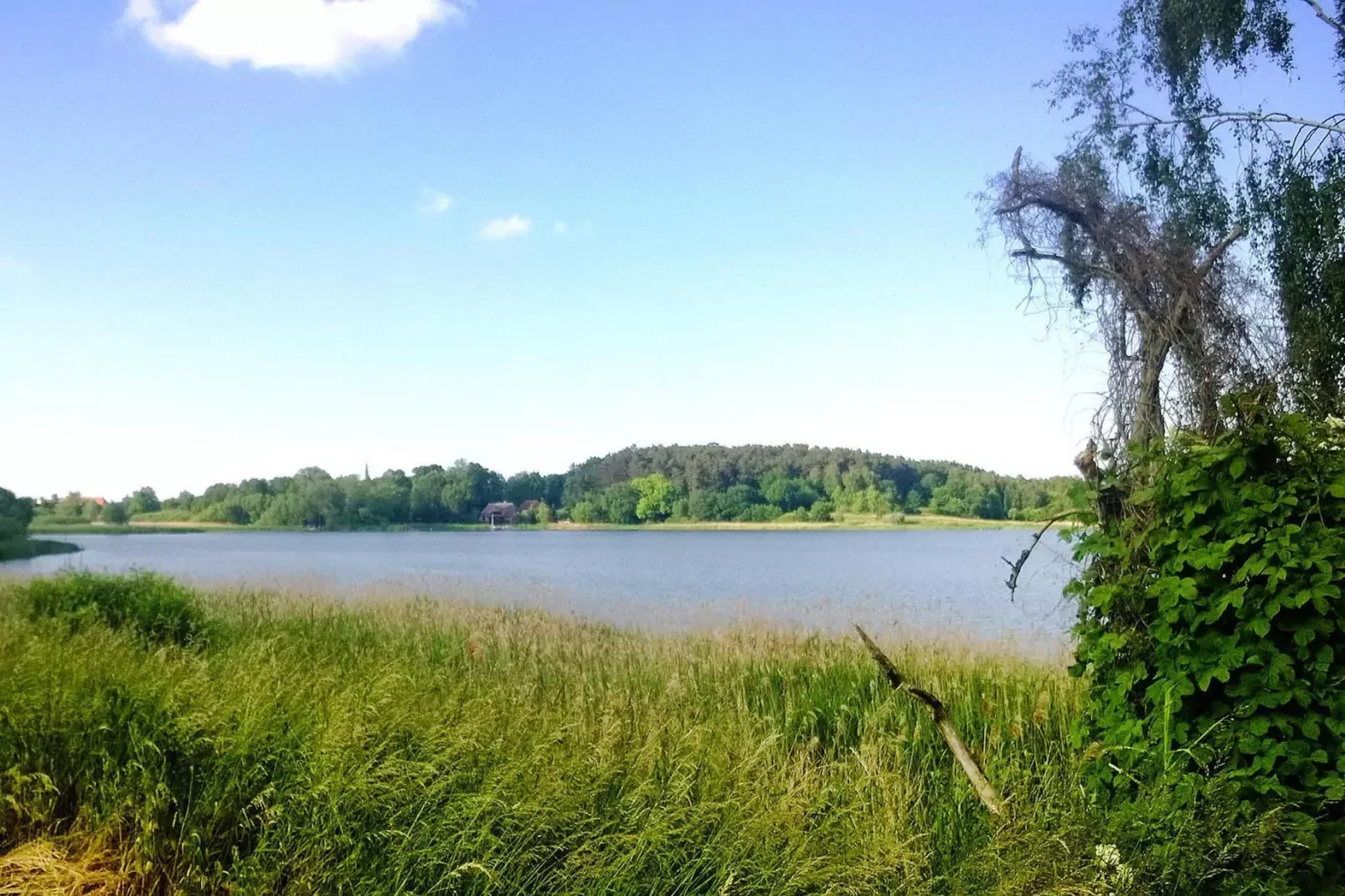 Ferienhaus Bel Ami 92 qm-Gebieden zomer 5km