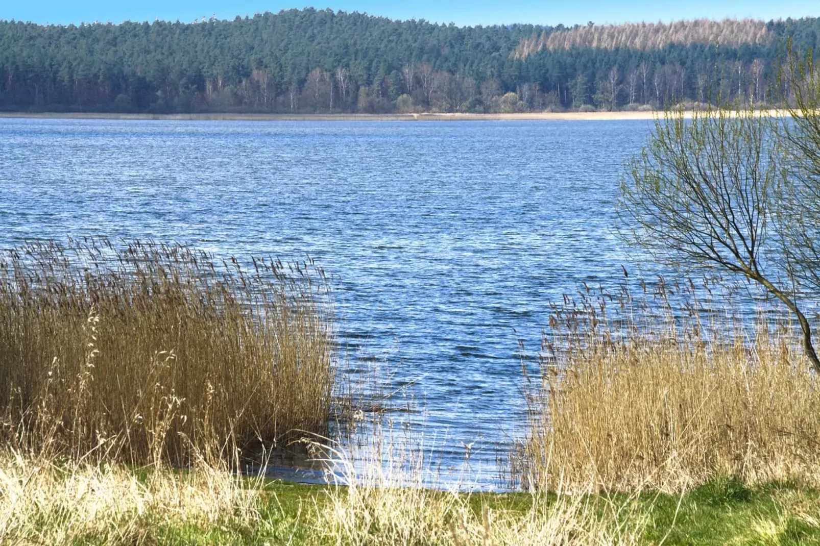 Ferienhaus Bel Ami 92 qm-Gebieden zomer 5km