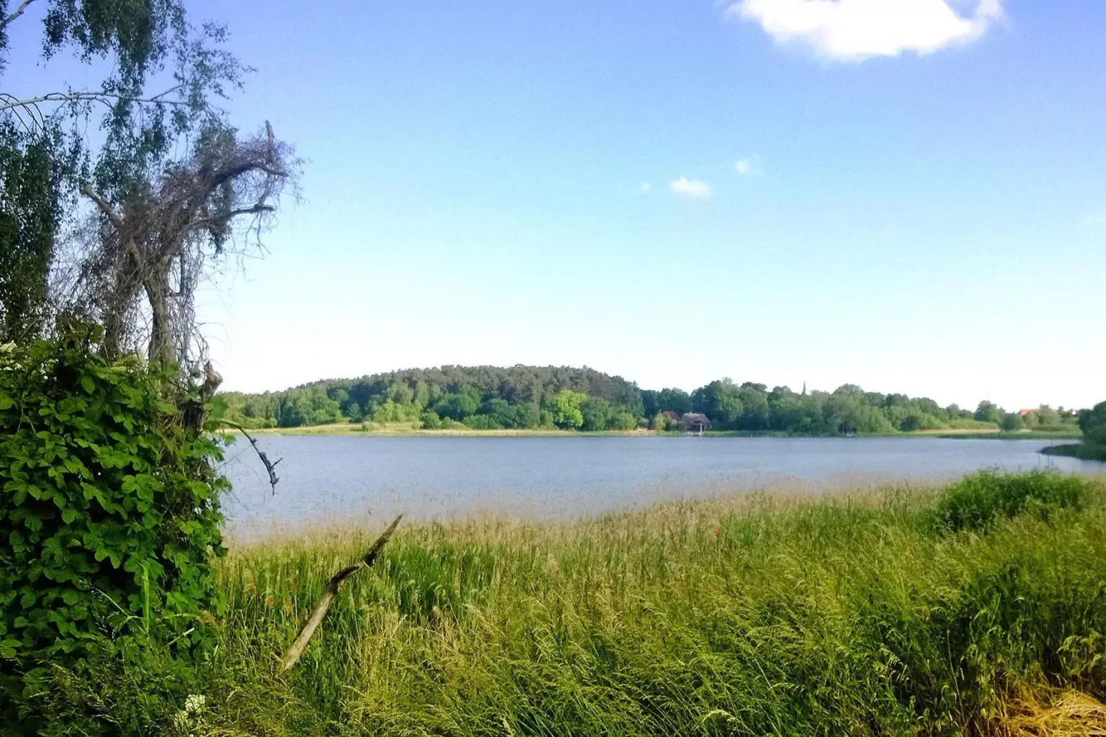 Ferienhaus Bel Ami 92 qm-Gebieden zomer 5km