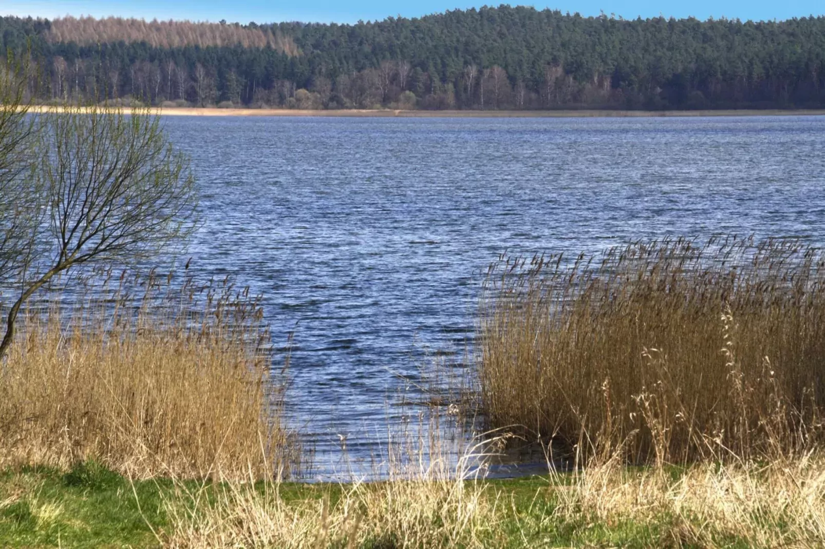 Ferienhaus An de Linn-Gebieden zomer 1km