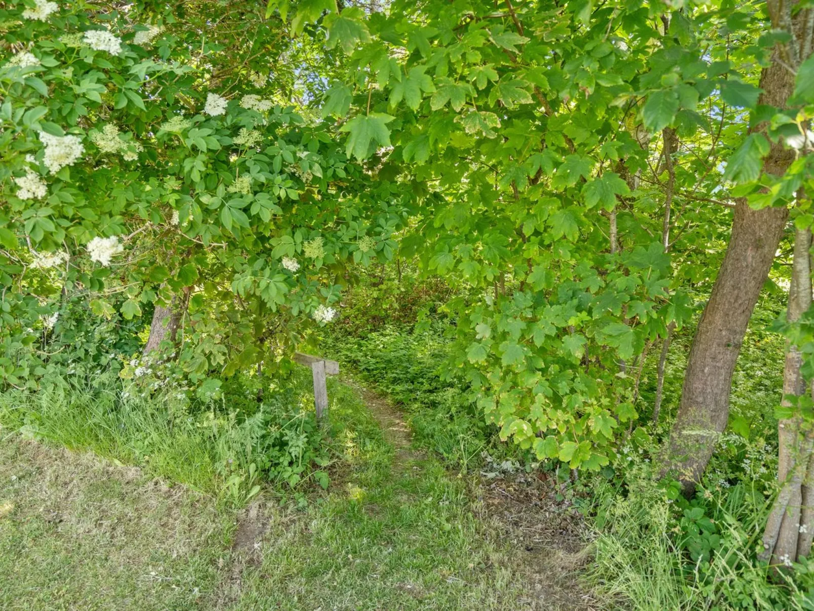 "Dvonta" - 170m from the sea-Buiten