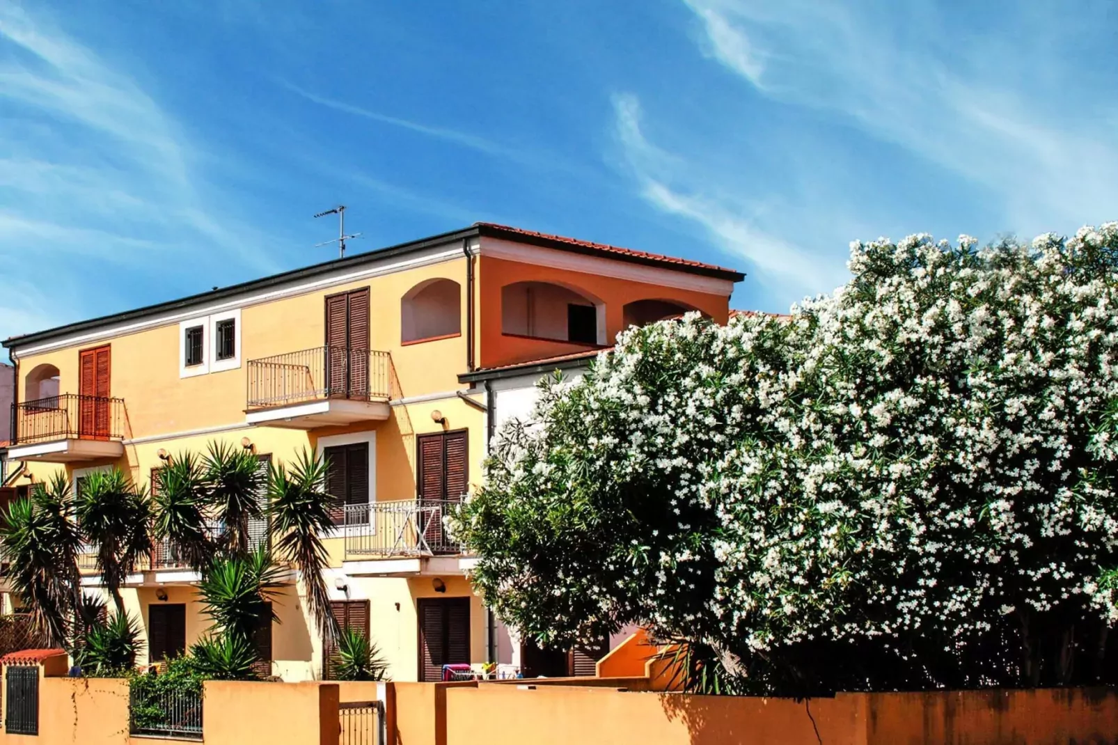 Residence La Pavoncelle Santa Terese Gallura - Type Bilo 4-Buitenkant zomer
